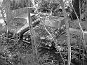 Autofriedhof - 014